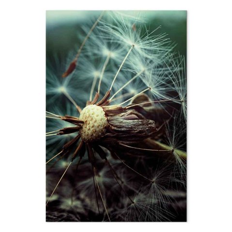 Obraz - Ostatnia nadzieja (1-częściowy) pionowy 40x60 Standard