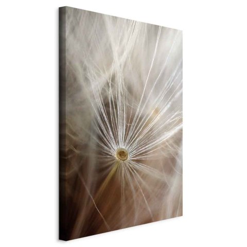 Obraz - Początek wspomnienia (1-częściowy) pionowy 60x90 Standard