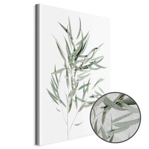 Obraz - Eukaliptus Nicholii (1-częściowy) pionowy 20x30 Premium Print