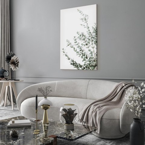 Obraz - Eukaliptus Parvifolia (1-częściowy) pionowy 20x30 Akustyczny