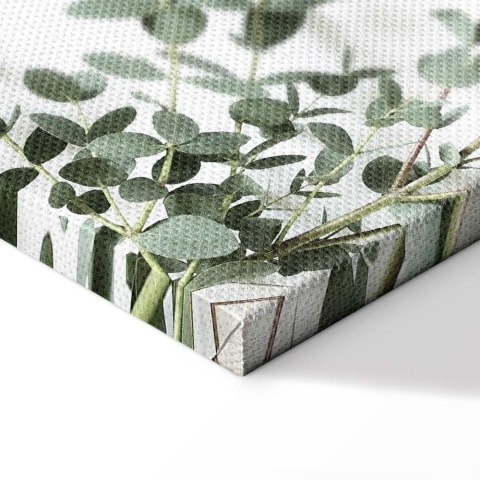 Obraz - Eukaliptus Parvifolia (1-częściowy) pionowy 20x30 Standard