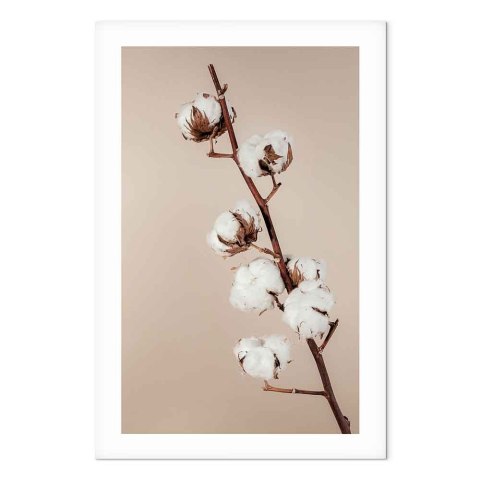 Obraz - Miękkość bawełny (1-częściowy) pionowy 20x30 Premium Print