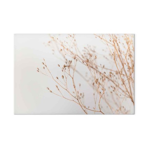 Obraz - Minimalistyczna gałązka (1-częściowy) szeroki 30x20 Akustyczny