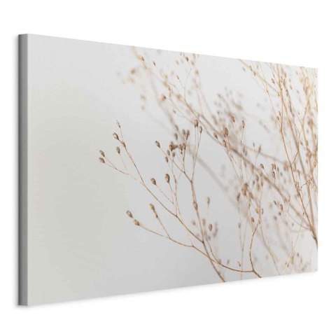 Obraz - Minimalistyczna gałązka (1-częściowy) szeroki 30x20 Standard