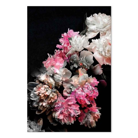 Obraz - Czar piwonii (1-częściowy) - kolorowy bukiet kwiatów na czarnym tle 20x30 Standard
