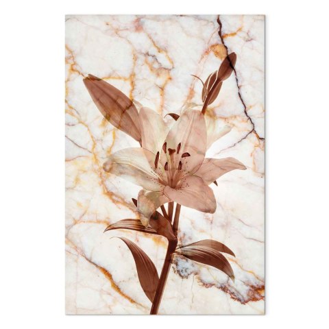 Obraz - Kwiat elegancji (1-częściowy) - delikatna lilia na tle marmuru w sepii 20x30 Standard