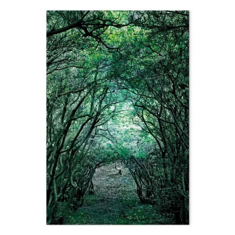 Obraz - Zielona pergola (1-częściowy) pionowy 40x60 Standard