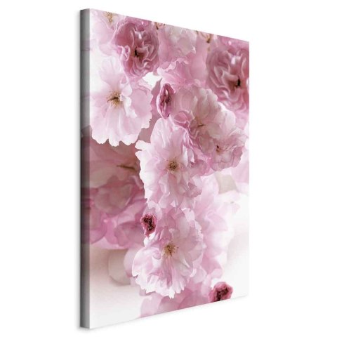 Obraz - Kwiatowy glamour (1-częściowy) - płatki kwiatów w odcieniach różu 20x30 Na płótnie włoskim