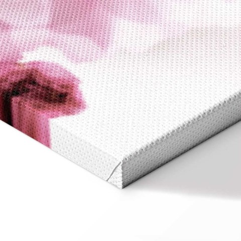 Obraz - Kwiatowy glamour (1-częściowy) - płatki kwiatów w odcieniach różu 20x30 Standard