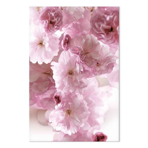 Obraz - Kwiatowy glamour (1-częściowy) - płatki kwiatów w odcieniach różu 40x60 Standard