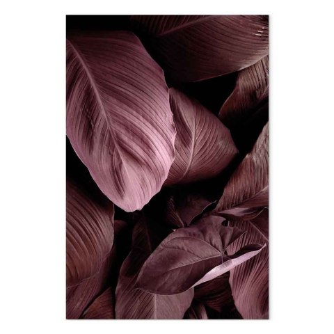 Obraz - Aksamitne liście (1-częściowy) pionowy 40x60 Standard