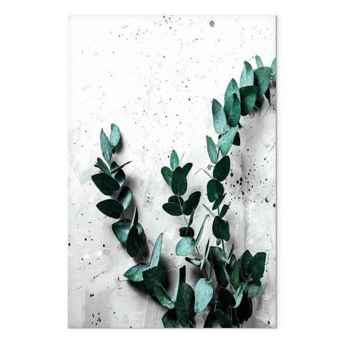 Obraz - Eukaliptusowy zapach (1-częściowy) pionowy 20x30 Akustyczny