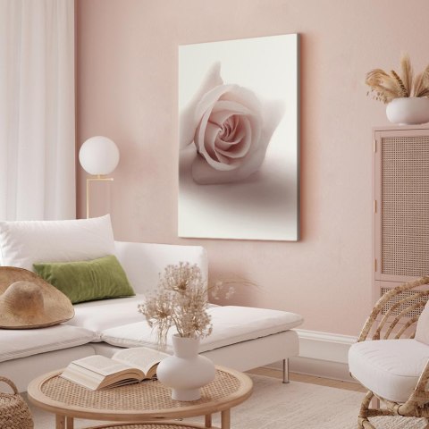Obraz - Kwiatowy blask glamour (1-częściowy) - delikatna i pastelowa róża 20x30 Premium Print