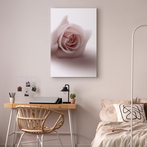 Obraz - Kwiatowy blask glamour (1-częściowy) - delikatna i pastelowa róża 40x60 Na płótnie włoskim