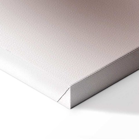 Obraz - Kwiatowy blask glamour (1-częściowy) - delikatna i pastelowa róża 40x60 Na płótnie włoskim