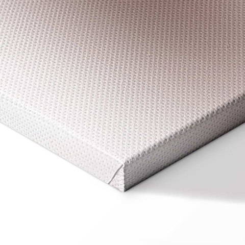 Obraz - Kwiatowy blask glamour (1-częściowy) - delikatna i pastelowa róża 40x60 Standard