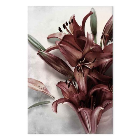 Obraz - Kwiecista forma (1-częściowy) pionowy 40x60 Standard