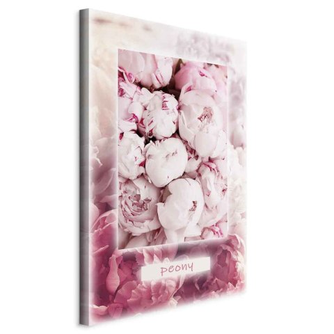 Obraz - Delikatność wiosny (1-częściowy) pionowy 20x30 Standard