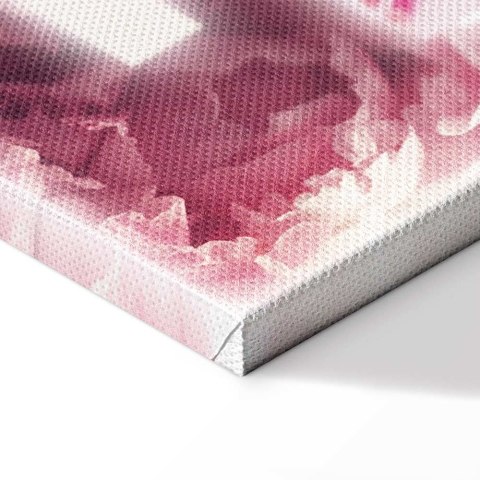 Obraz - Delikatność wiosny (1-częściowy) pionowy 60x90 Standard