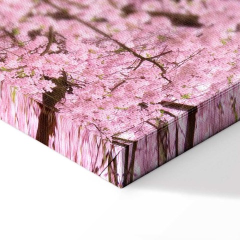 Obraz - Drzewo wiśni (1-częściowy) pionowy 40x60 Na płótnie włoskim