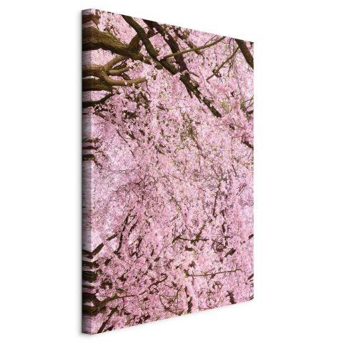 Obraz - Drzewo wiśni (1-częściowy) pionowy 40x60 Standard