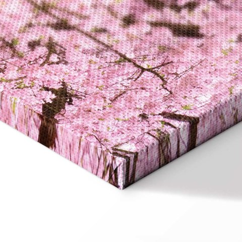 Obraz - Drzewo wiśni (1-częściowy) pionowy 40x60 Standard