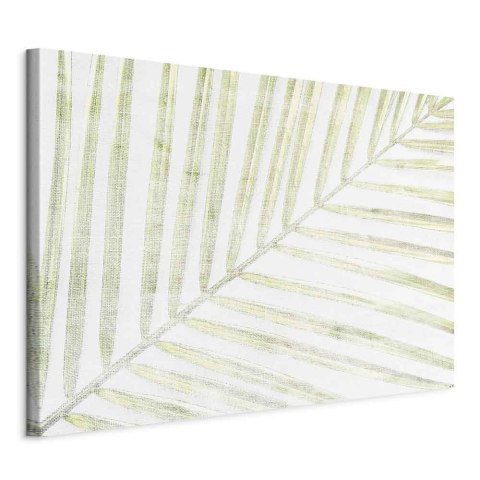 Obraz - Liść palmy (1-częściowy) szeroki 60x40 Standard