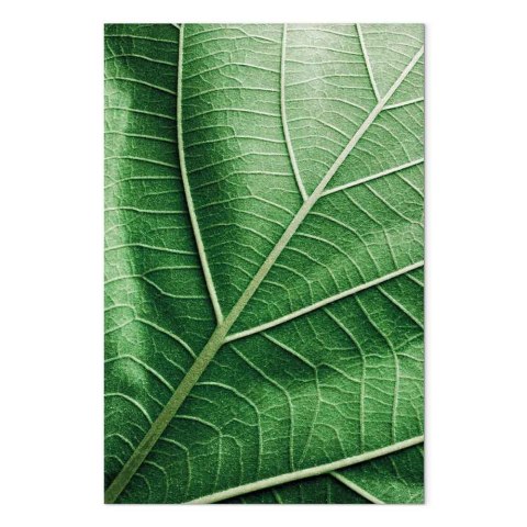 Obraz - Malachitowy liść (1-częściowy) pionowy 20x30 Akustyczny