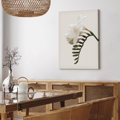 Obraz - Wiosenny pióropusz (1-częściowy) pionowy 20x30 Standard