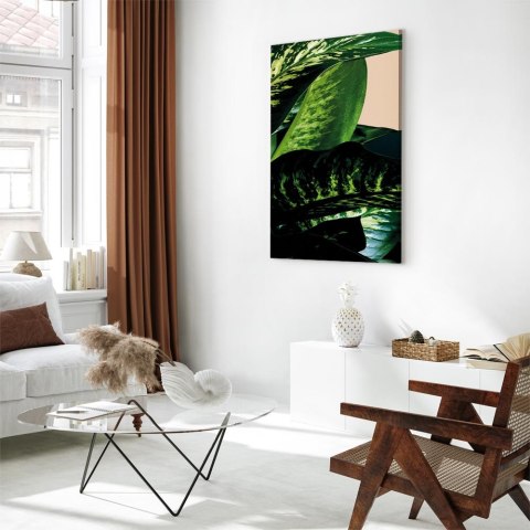 Obraz - Difenbachia (1-częściowy) pionowy 20x30 Akustyczny