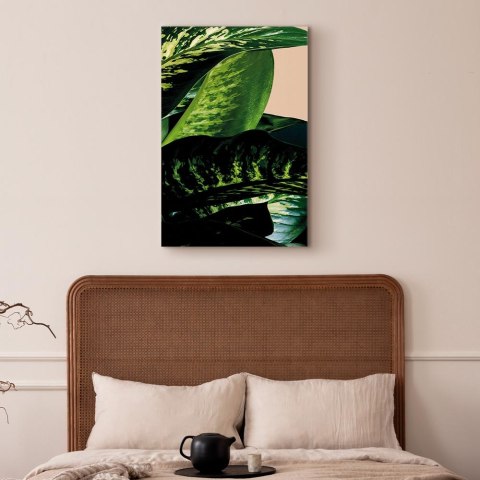 Obraz - Difenbachia (1-częściowy) pionowy 20x30 Standard