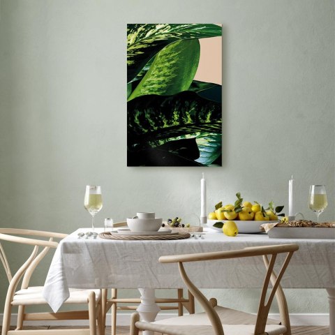 Obraz - Difenbachia (1-częściowy) pionowy 20x30 Standard