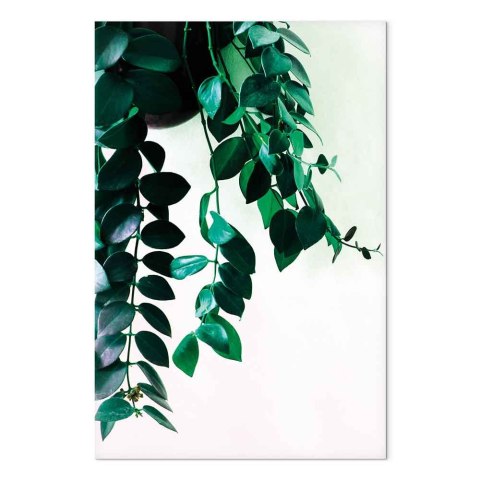 Obraz - Korale natury (1-częściowy) pionowy 20x30 Standard