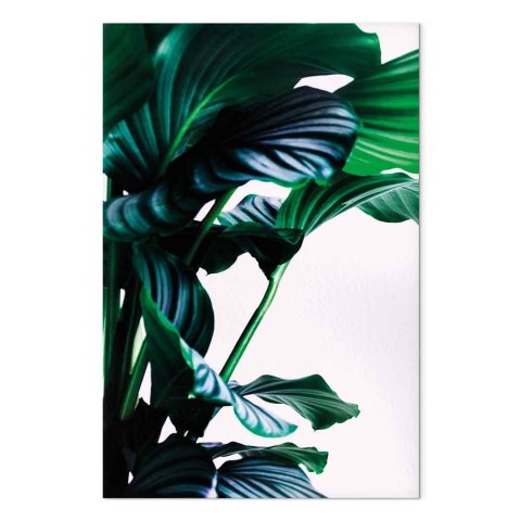 Obraz - Sprężyste liście (1-częściowy) pionowy 20x30 Akustyczny