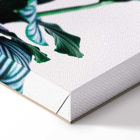 Obraz - Sprężyste liście (1-częściowy) pionowy 20x30 Akustyczny