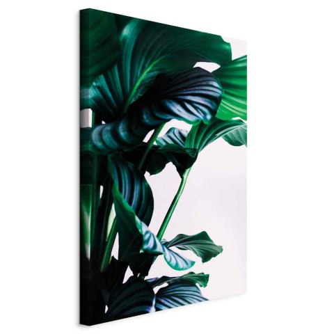 Obraz - Sprężyste liście (1-częściowy) pionowy 40x60 Standard
