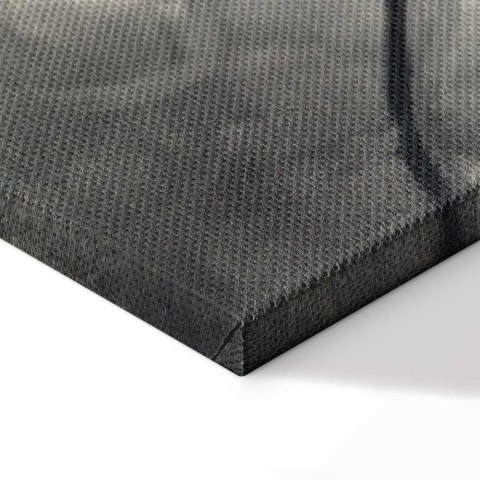 Obraz - Rozświetlone gałęzie (1-częściowy) szeroki 60x40 Standard