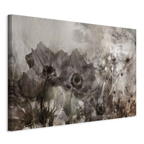 Obraz - Anemony w sepii (1-częściowy) szeroki 120x80 Na płótnie włoskim