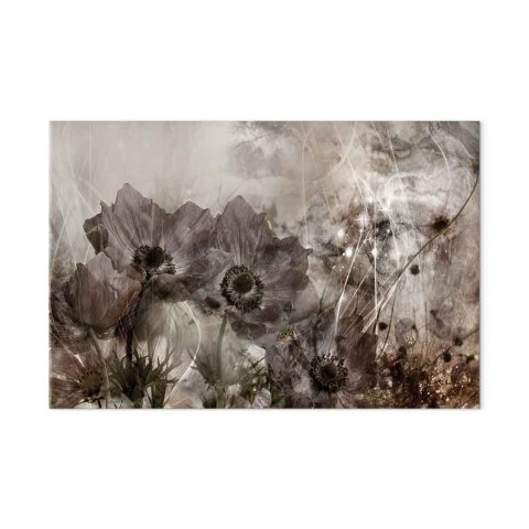 Obraz - Anemony w sepii (1-częściowy) szeroki 120x80 Standard