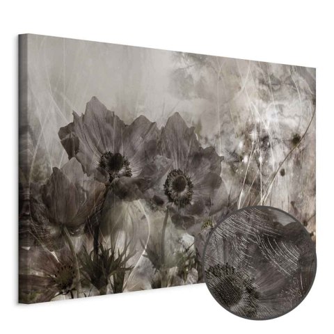 Obraz - Anemony w sepii (1-częściowy) szeroki 30x20 Premium Print