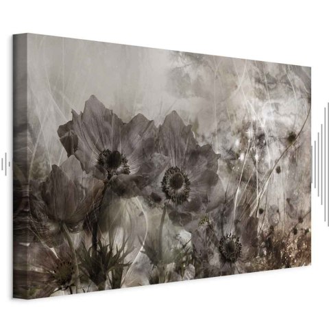Obraz - Anemony w sepii (1-częściowy) szeroki 60x40 Akustyczny