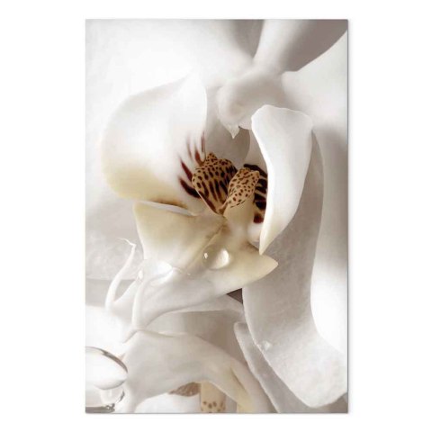 Obraz - Kropla marzenia (1-częściowy) pionowy 20x30 Premium Print
