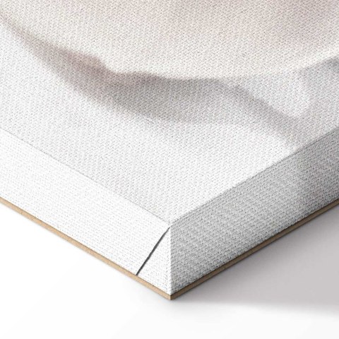 Obraz - Kwitnące światło (1-częściowy) pionowy 20x30 Akustyczny
