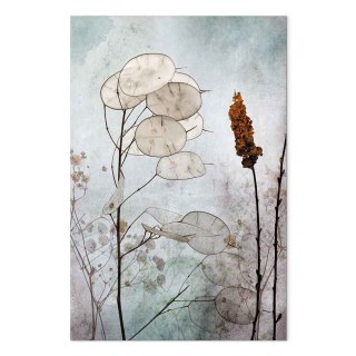 Obraz - Owoce lunarii (1-częściowy) pionowy 60x90 Na płótnie włoskim