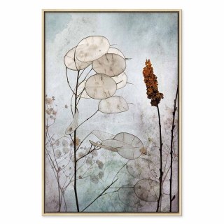 Obraz - Owoce lunarii (1-częściowy) pionowy 60x90 W ramie drewnianej naturalnej