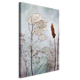 Obraz - Owoce lunarii (1-częściowy) pionowy 80x120 Na płótnie włoskim