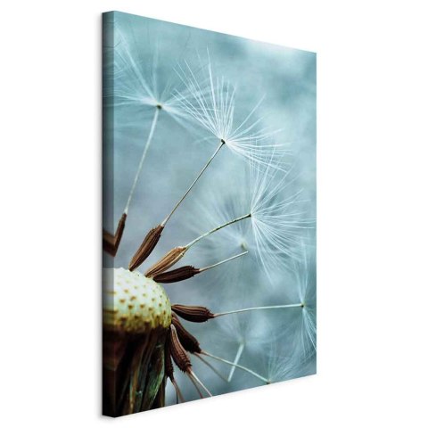 Obraz - Uniesienie przestrzeni (1-częściowy) pionowy 20x30 Standard