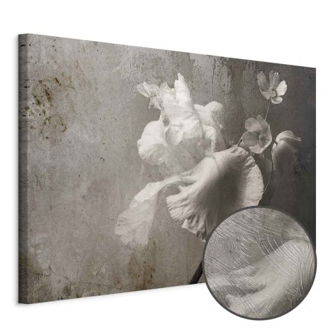 Obraz - Wenecki blask (1-częściowy) szeroki 30x20 Premium Print
