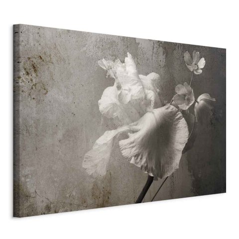 Obraz - Wenecki blask (1-częściowy) szeroki 90x60 Standard