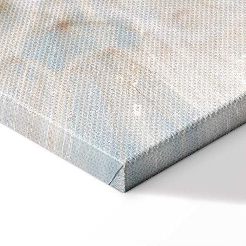 Obraz - Dmuchawiec w słońcu (1-częściowy) szeroki 120x80 Standard